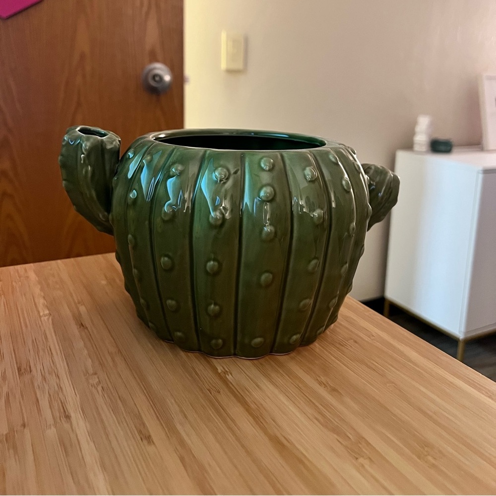 Cactus pot for plants